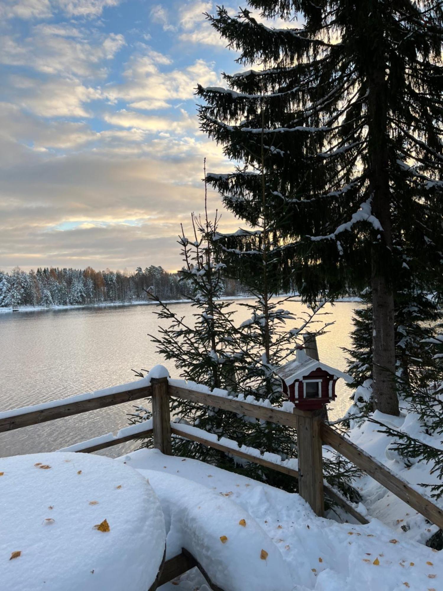Nya Skogsgarden Hostel Mårbacken Dış mekan fotoğraf